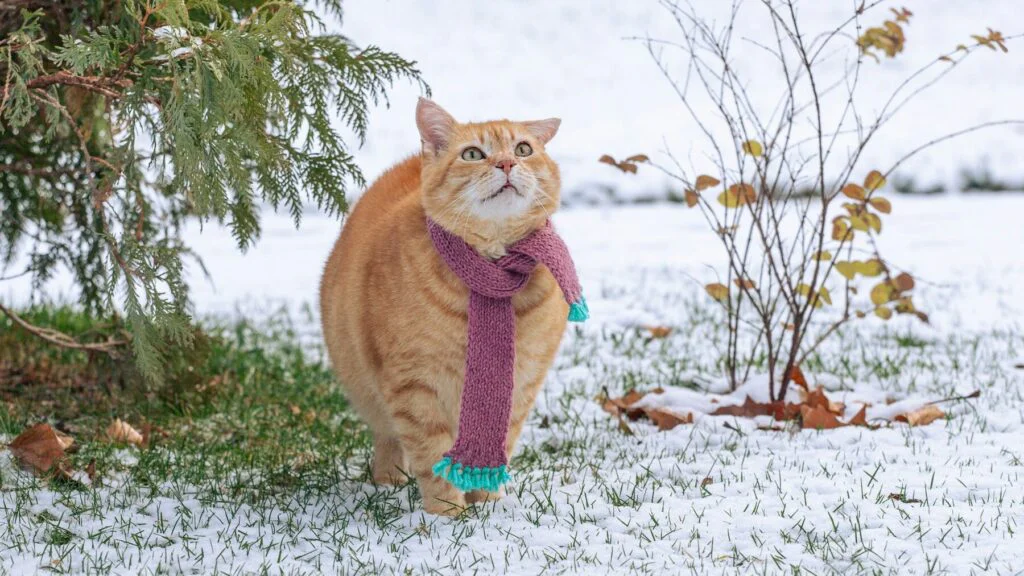 Zdraví, očkování a paraziti