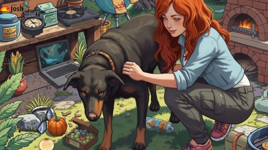 Psí test zrzka se psem bez nápovědy