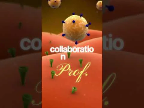 Video k článku ZDE