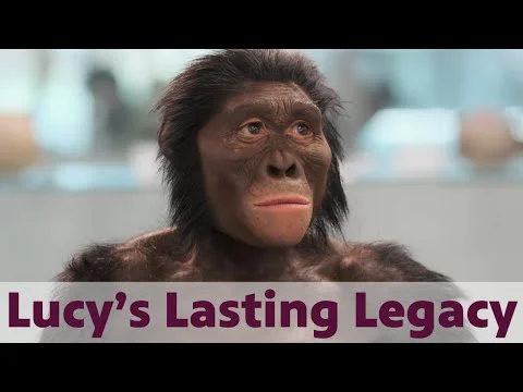 Video k článku ZDE