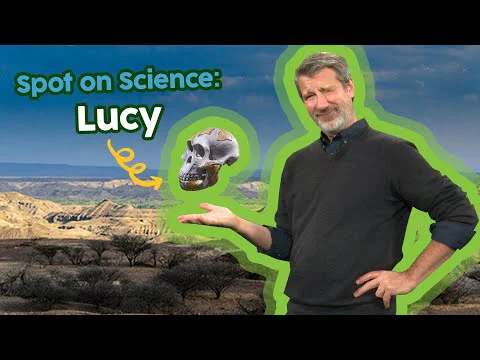 Video k článku ZDE