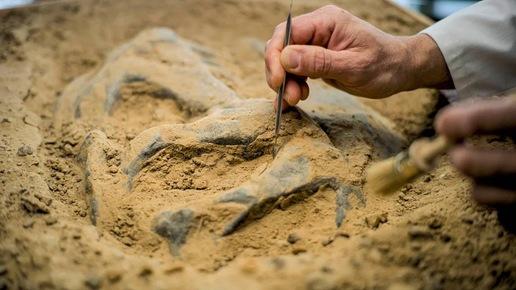 Záhadná odolnost střední Evropy: Proč zde lidé přežívali, když jinde ubývali