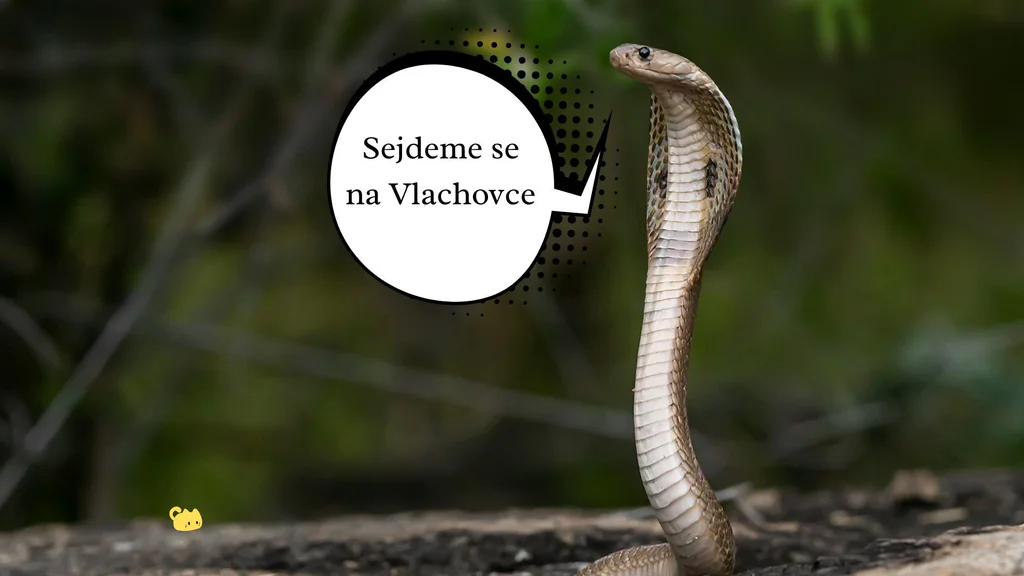 Prý “zapoměl jsem na naše výročí”... To určitě!