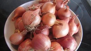 1 kg cibule za 8 Kč: Tenhle obchod rozjel brutální výprodej. Využijte toho rychle, než se všechno vyprodá