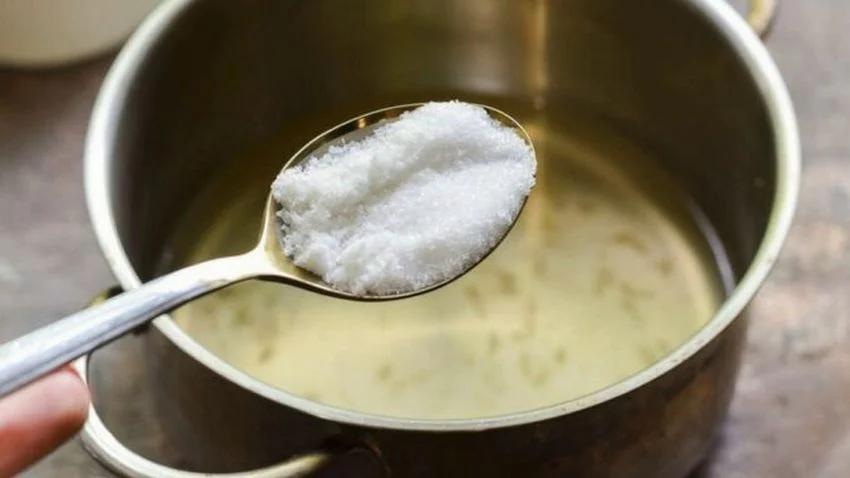 Proč dávat k rostlinám během zimního období cukr