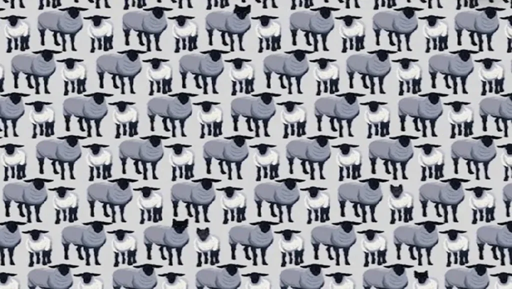 Test s ovcemi bez označení vlků