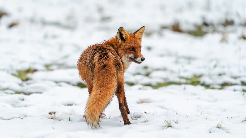 Existují lepší způsoby, jak pomoci