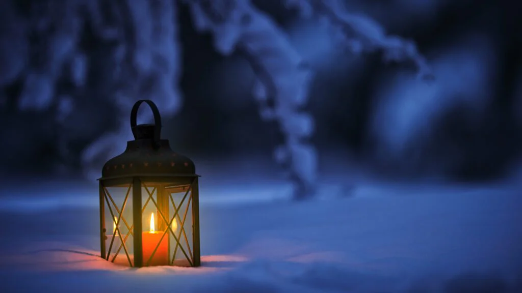 Krmení podporuje koncentraci zvířat a šíření nemocí