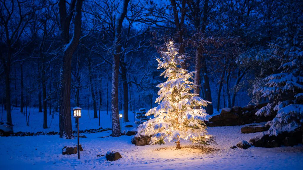 Změna migrace, migrace ptáků i ekologické narušení