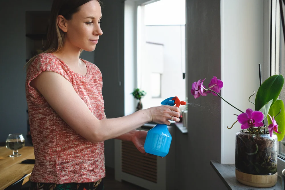 Jak zalévat orchidej - rosení