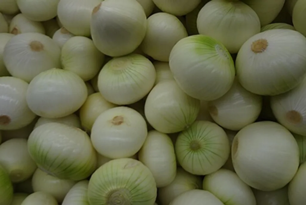 Obrázek k receptu: Salát z českých rajčat i v zimě: báječná zavařená verze