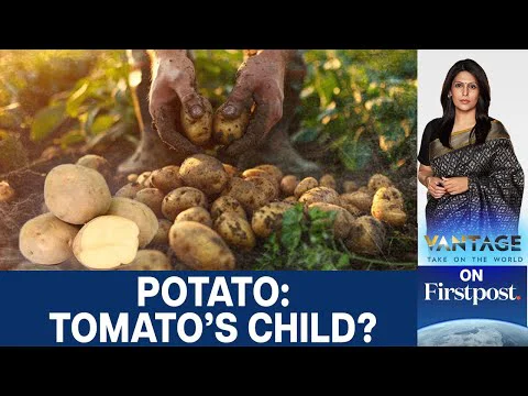 Video k článku ZDE