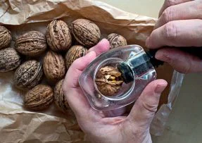 Ořechové skořápky nevyhazujte, poslouží jako mulč