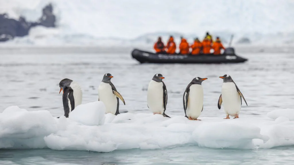 Antarktida jako ultimátní polární zkušenost