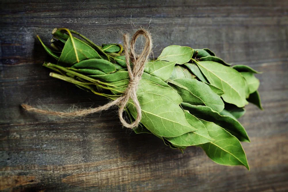 Proč dávat bobkový list do mouky