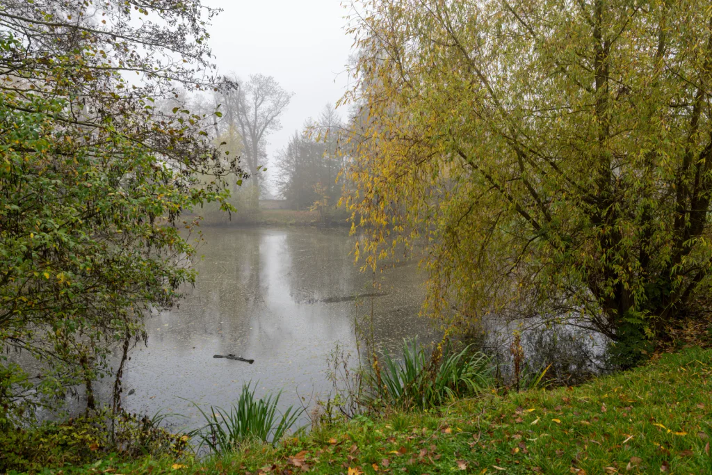 Nikdo by to nečekal! Na tomto zámku vznikla česká filmová legenda, o které většina lidí nemá tušení.