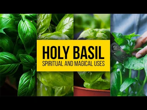 Video k článku ZDE