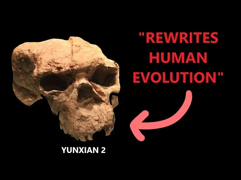 Video k článku ZDE