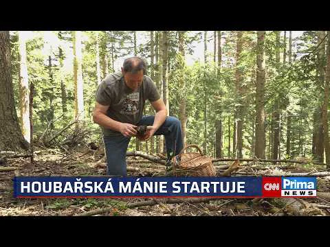 Video k článku