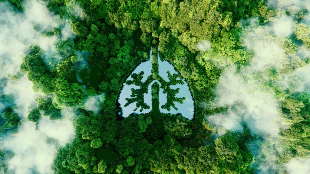 „Plíce planety“