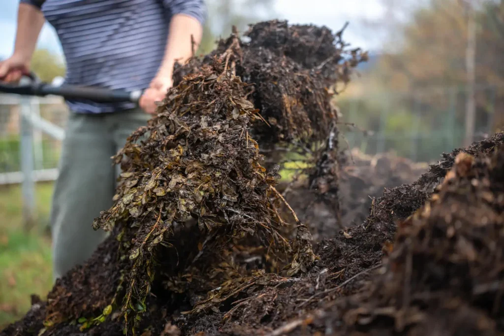 kompost