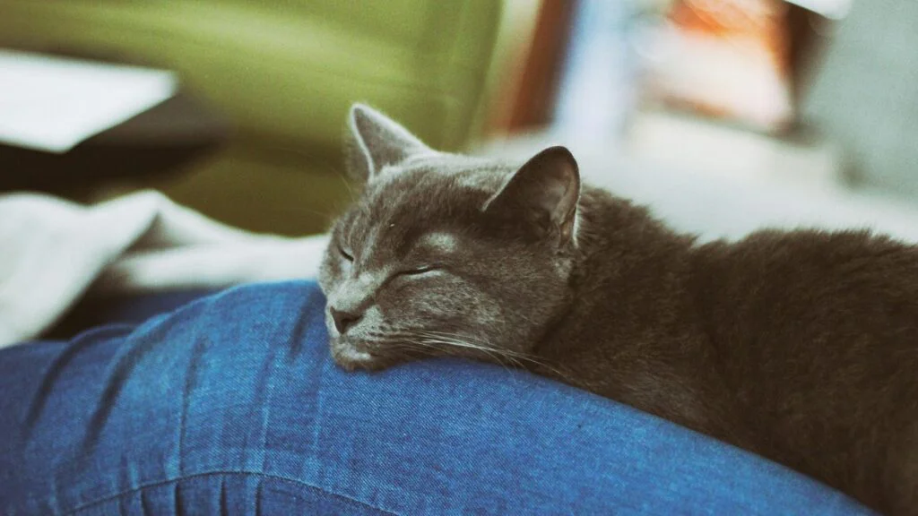 Trpělivost a konzistence jsou klíčové