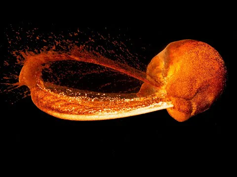 Video k článku ZDE