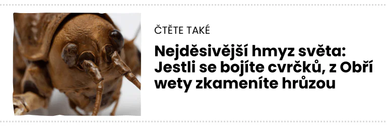čTĚTE TAKÉ (1)