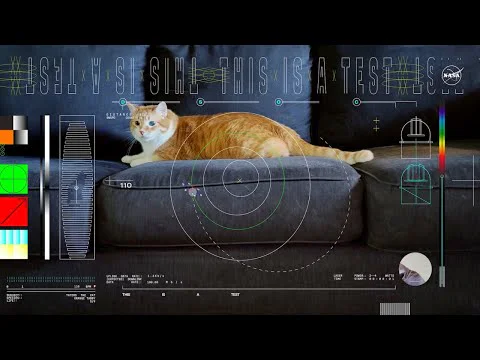 Video k článku ZDE