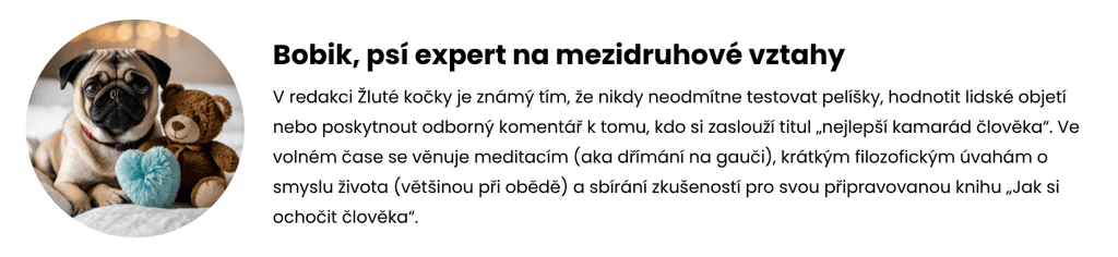 Bobik, psí expert na mezidruhové vztahy
