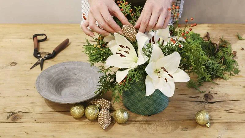 Srpen je ten správný čas zasadit hvězdu mezi liliemi Madonnu