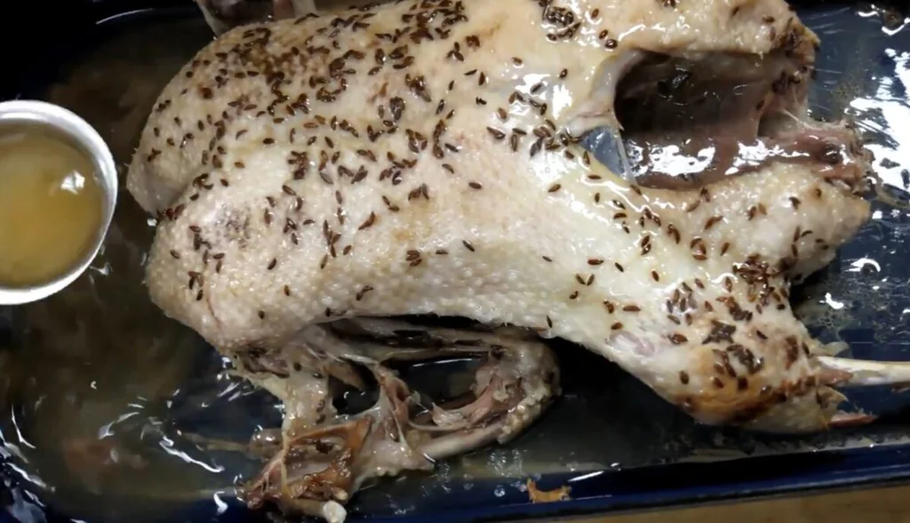 Kachnu sem tam přelijeme výpekem.