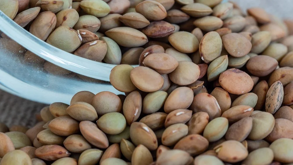 Konzumace čočky podpoří zdraví